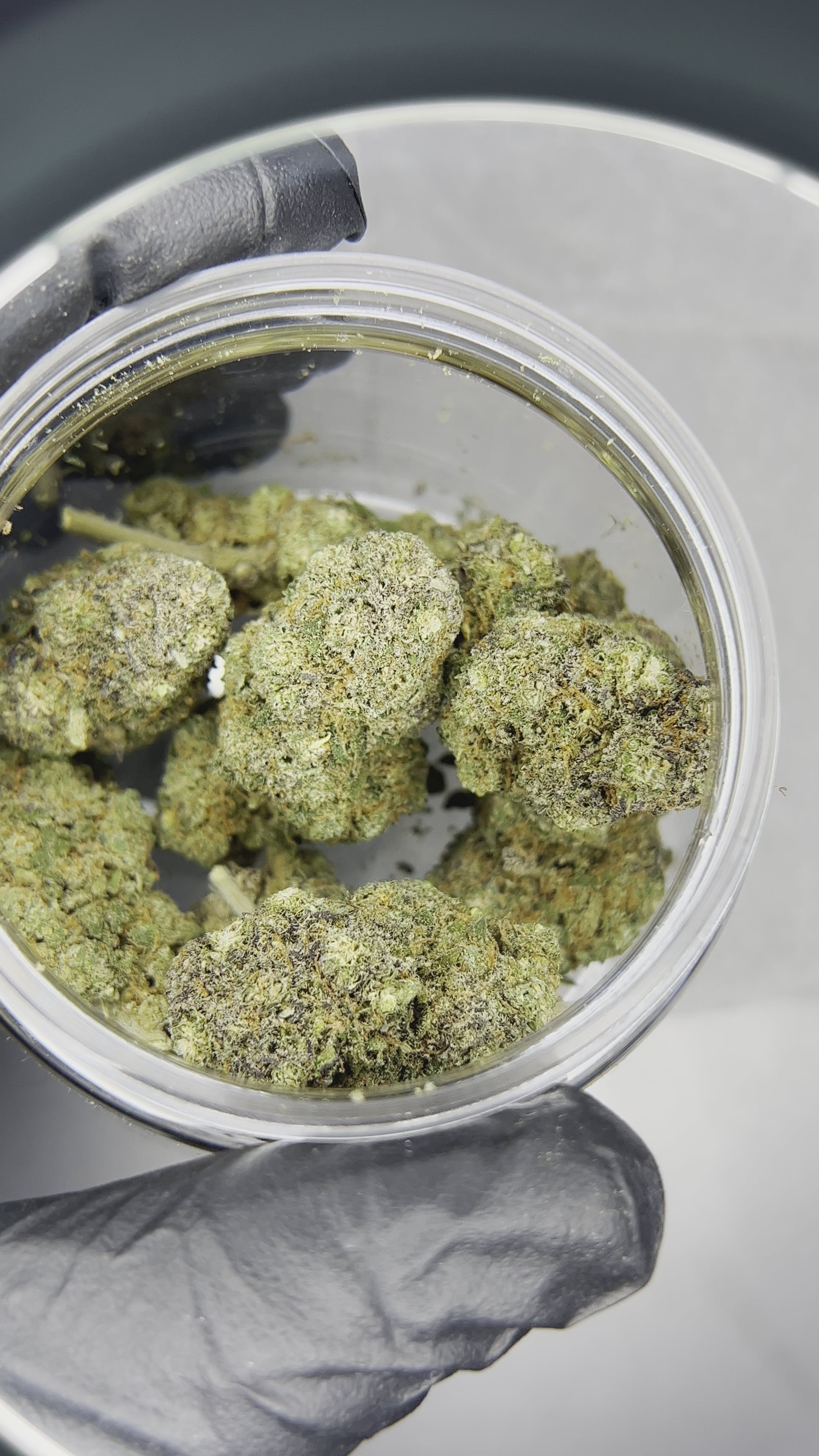 Flor CBD Terpsmatter Blueberry Cobbler 3g