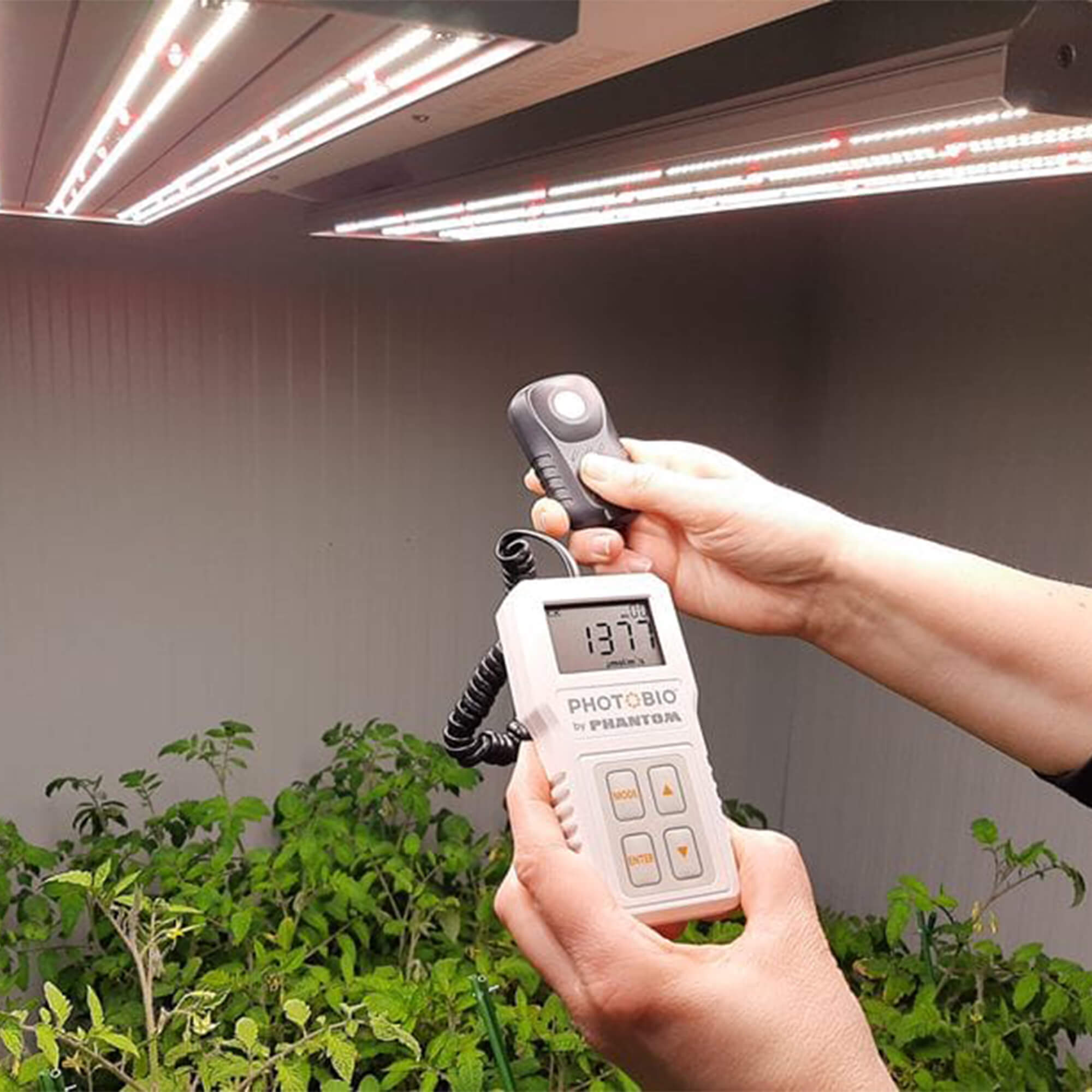 Medidor PAR PhotoBio