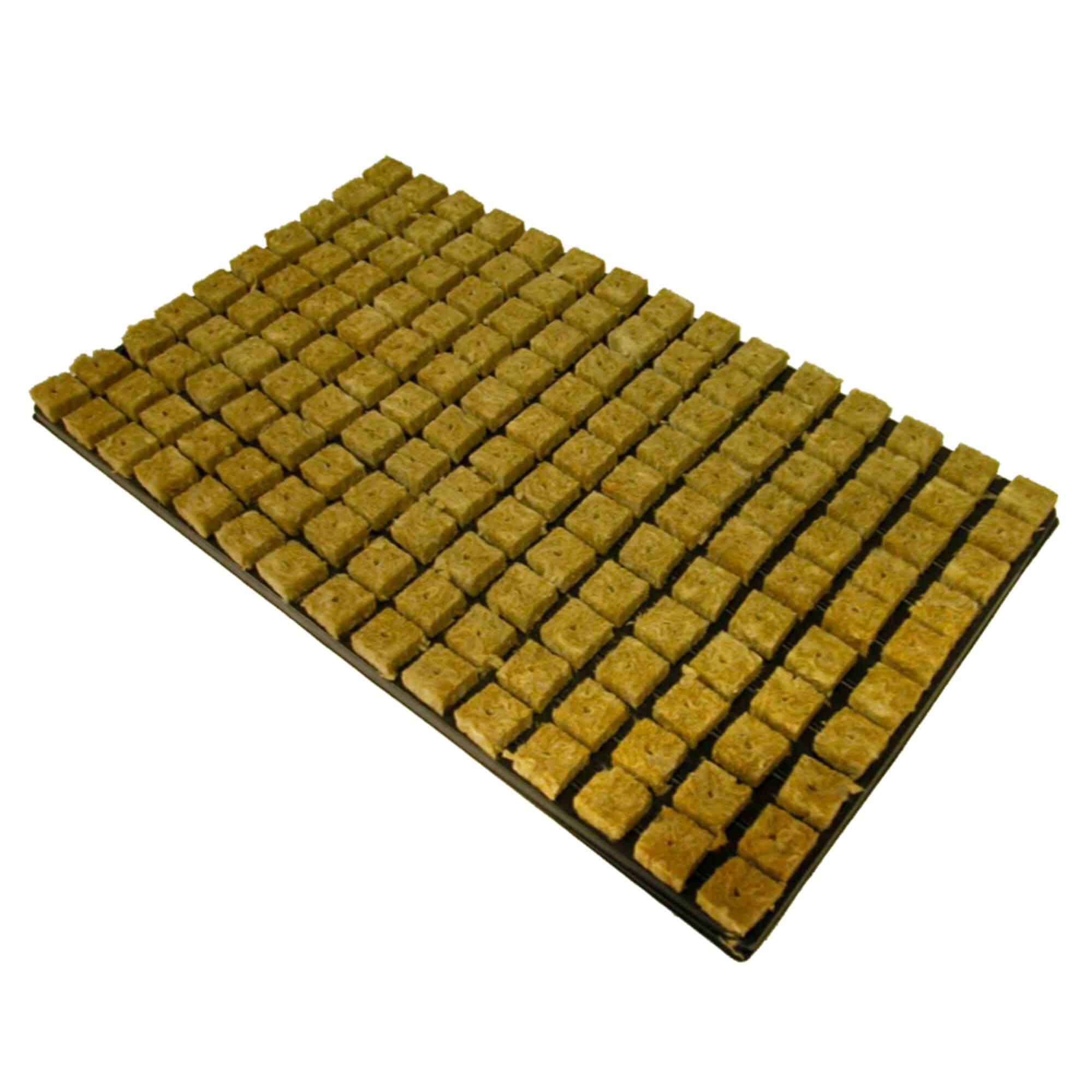 Bandeja sementeira lã de rocha Cultiwool (150 cubos)
